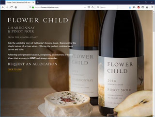 Winery Website Design